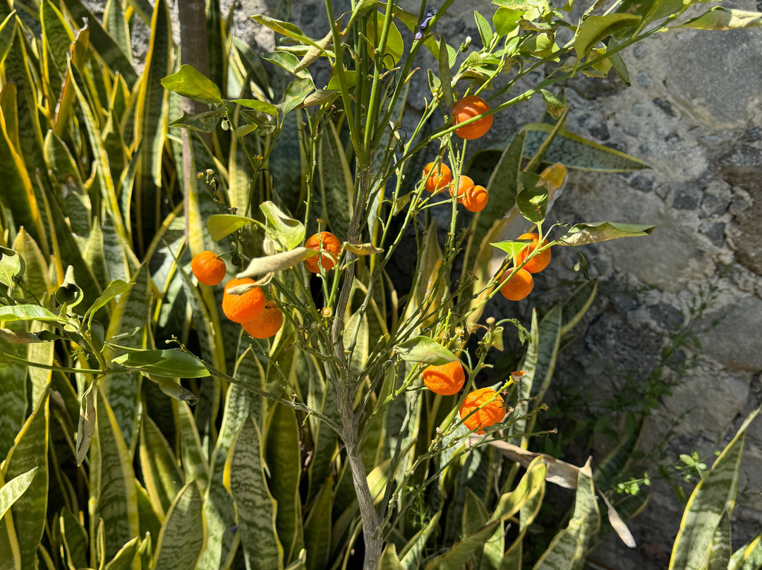 特波兹特兰民宿主图