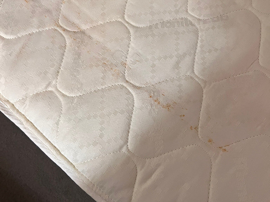 Holiday Inn Express & Suites Glenpool-tulsa South By IHG主图