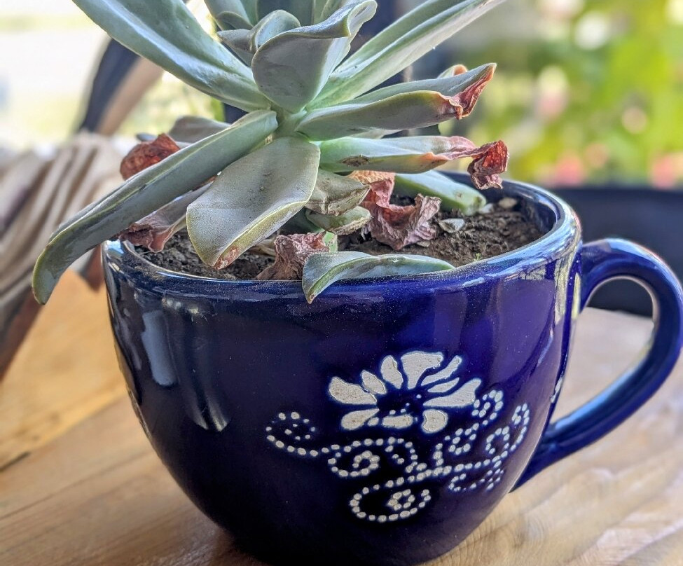 Wah Tea Estate景点图片