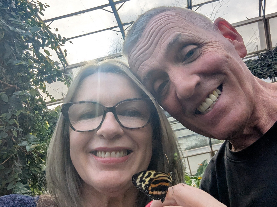 The London Butterfly Gardens景点图片