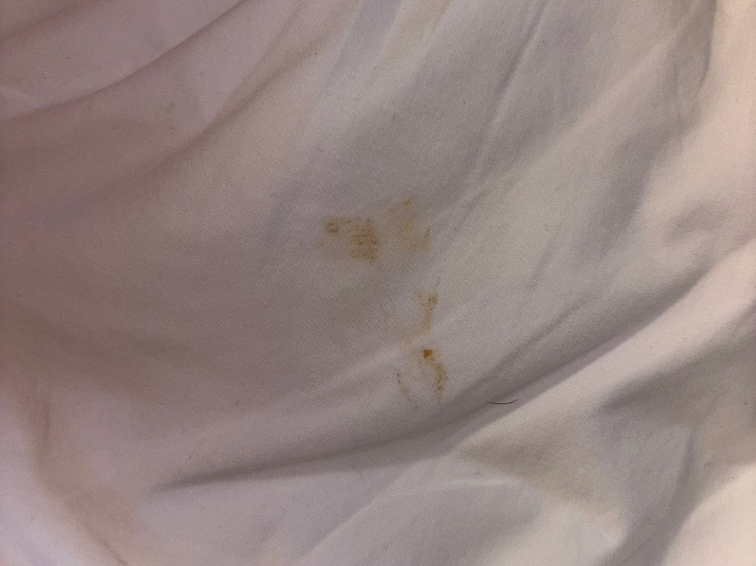 Howard Johnson by Wyndham Tifton主图