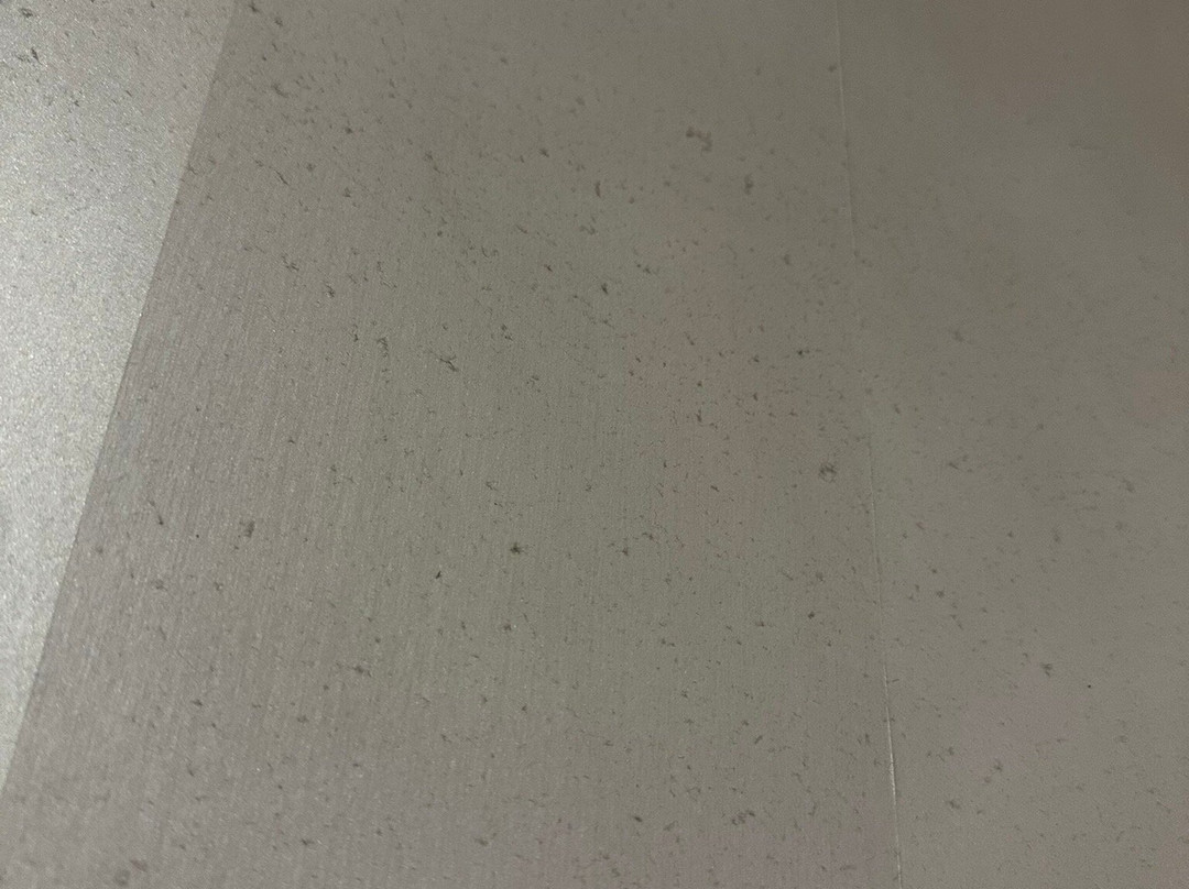 Hôtel de la Cloche主图