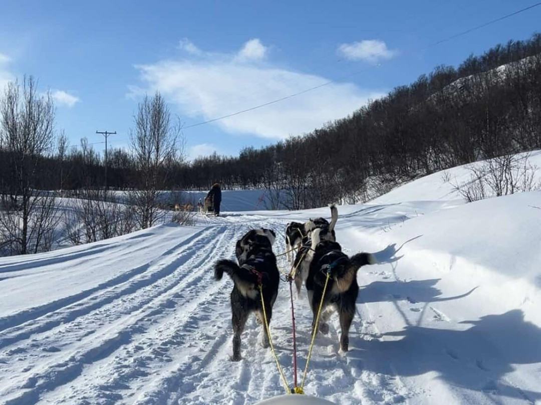 Seljeslett Gård-Russenes必去景点