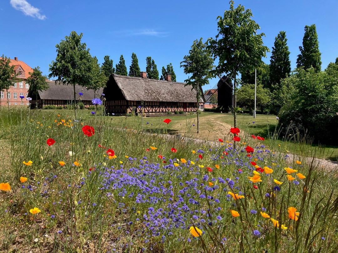 Museum Sønderjylland - Arkæologi Haderslev