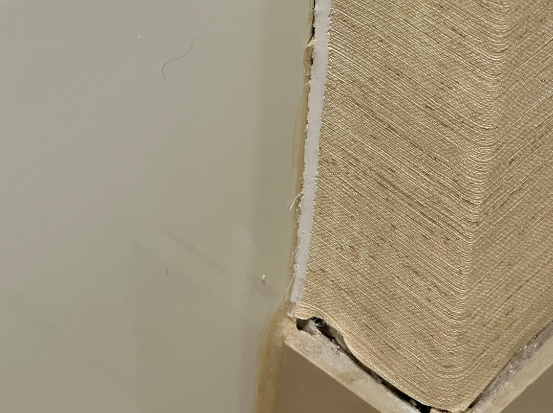 Wingate By Wyndham Fletcher At Asheville Airport主图