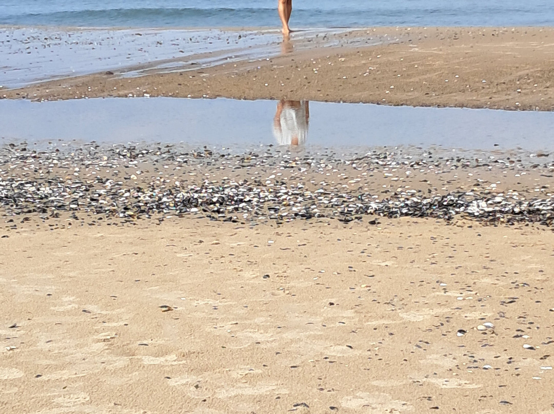 Playa Costa Azul Canelones-Costa Azul必去景点