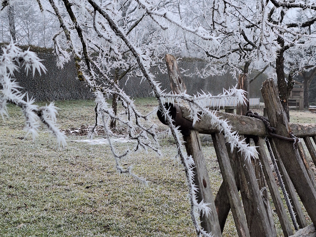 Landhotel Brandlhof Familie Dirndorfer主图