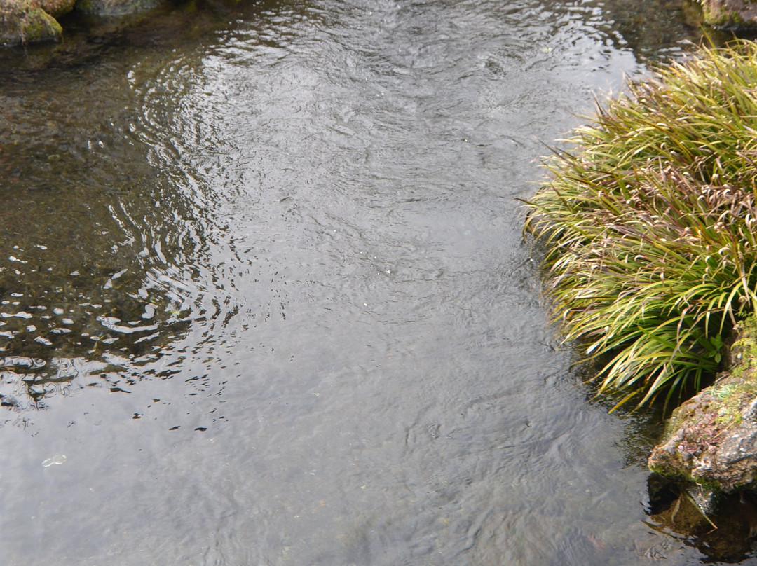 Yusui Park-富士市必去景点