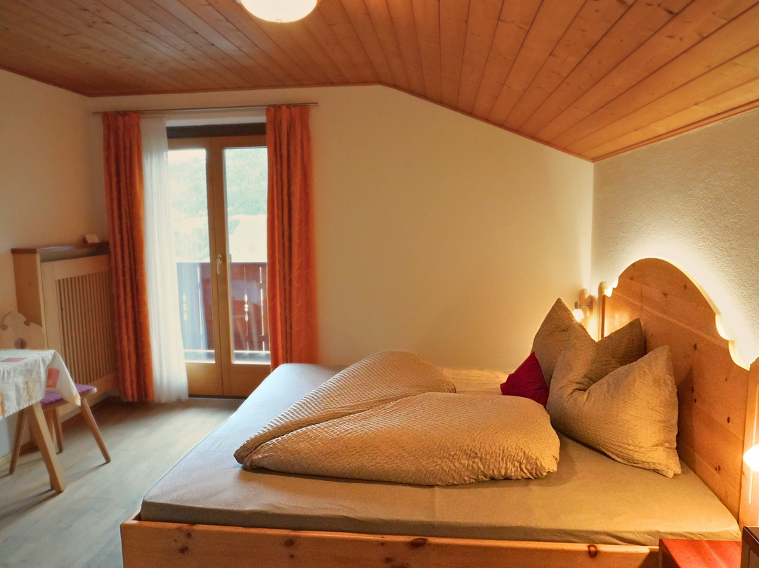 Pension Widmann主图