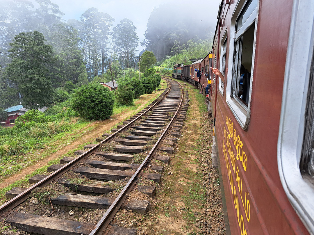Scenic Ceylon Tours景点图片