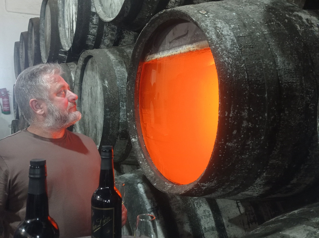 Bodegas Argueso景点图片