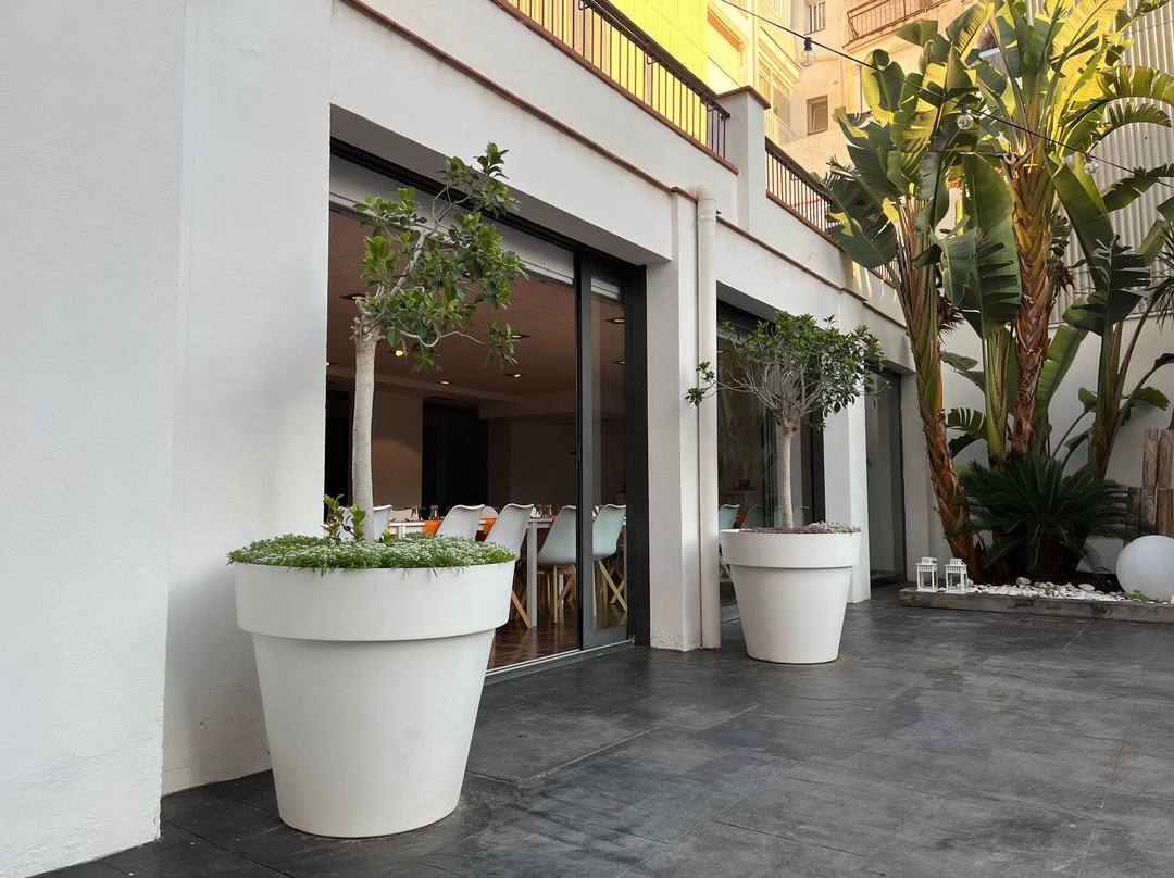 莎乐美酒店主图