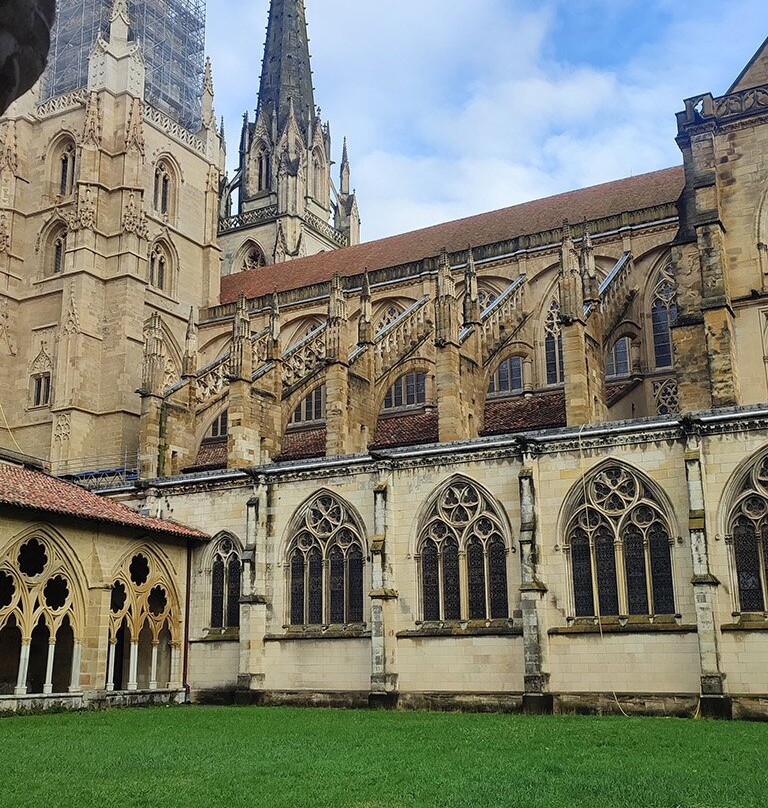 Cloitre De La Cathedrale Sainte-Marie景点图片