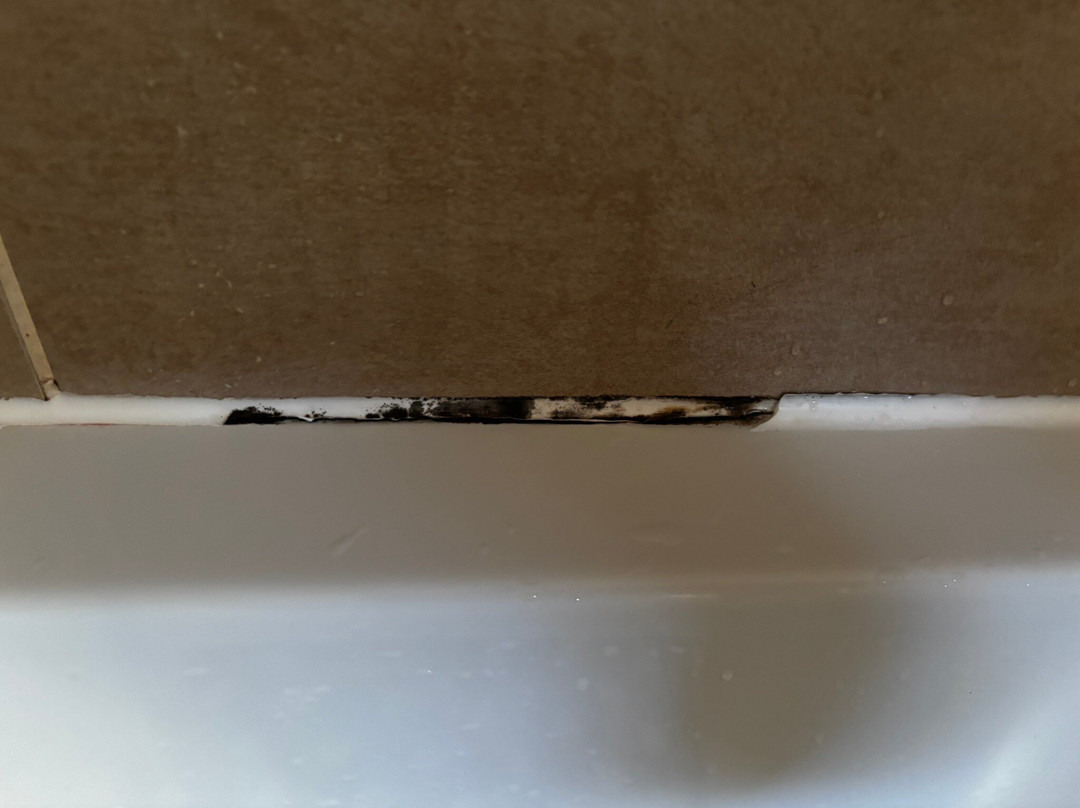 Halfway House Inn主图