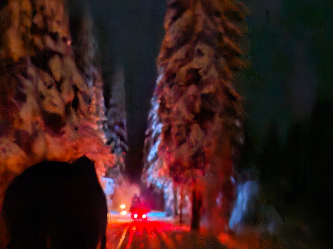 Sleigh Ride in the Tatra National Park-扎科帕内必去景点