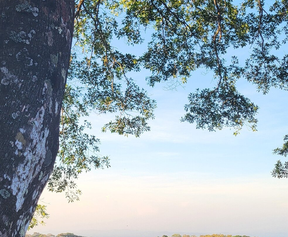 Lucero Golf And Country Club-波魁特必去景点