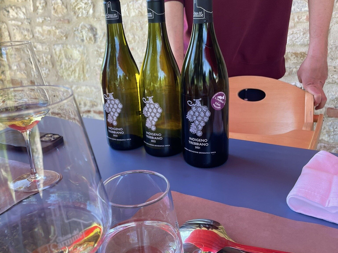 Vineria del Carmine景点图片