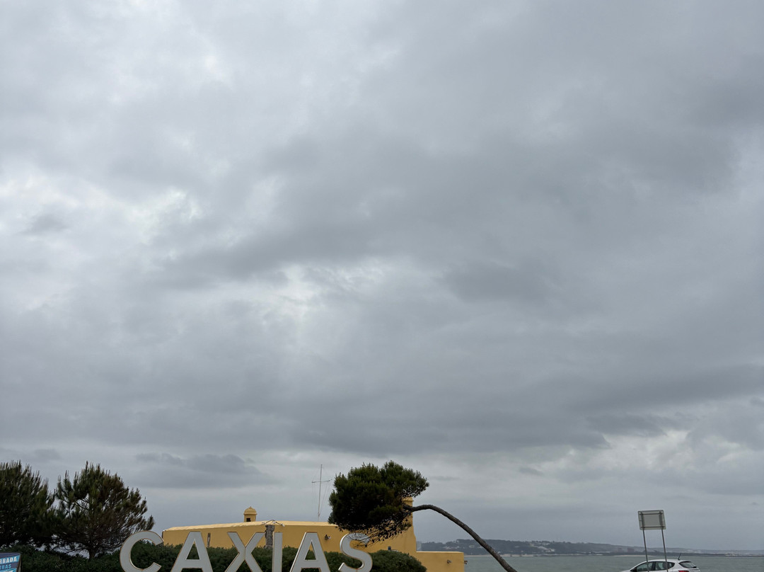 Hotel Solar Palmeiras主图