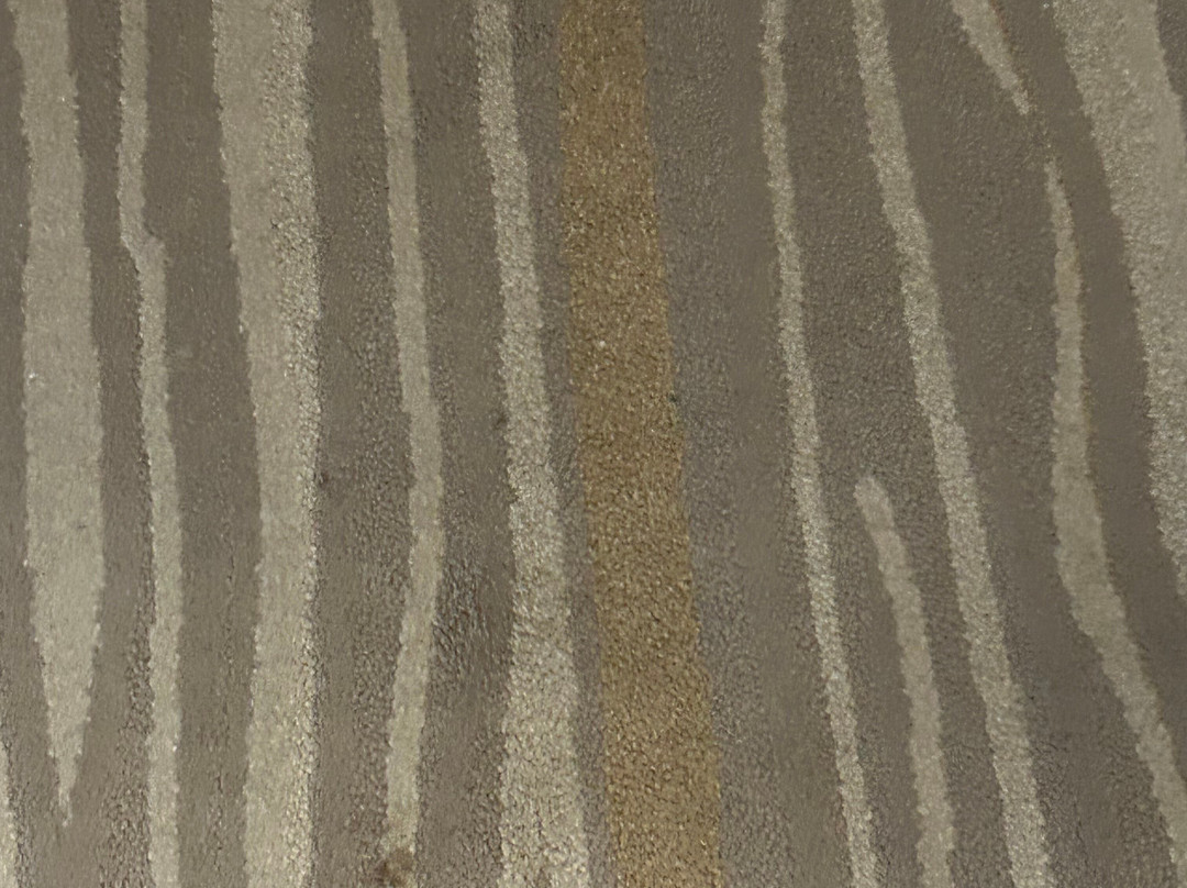 Staybridge Suites Summerville - Charleston Area by IHG主图