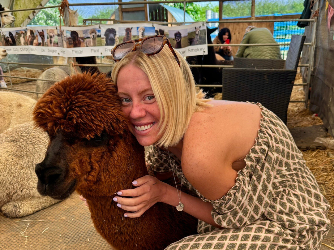Stubbs Farm Alpacas景点图片