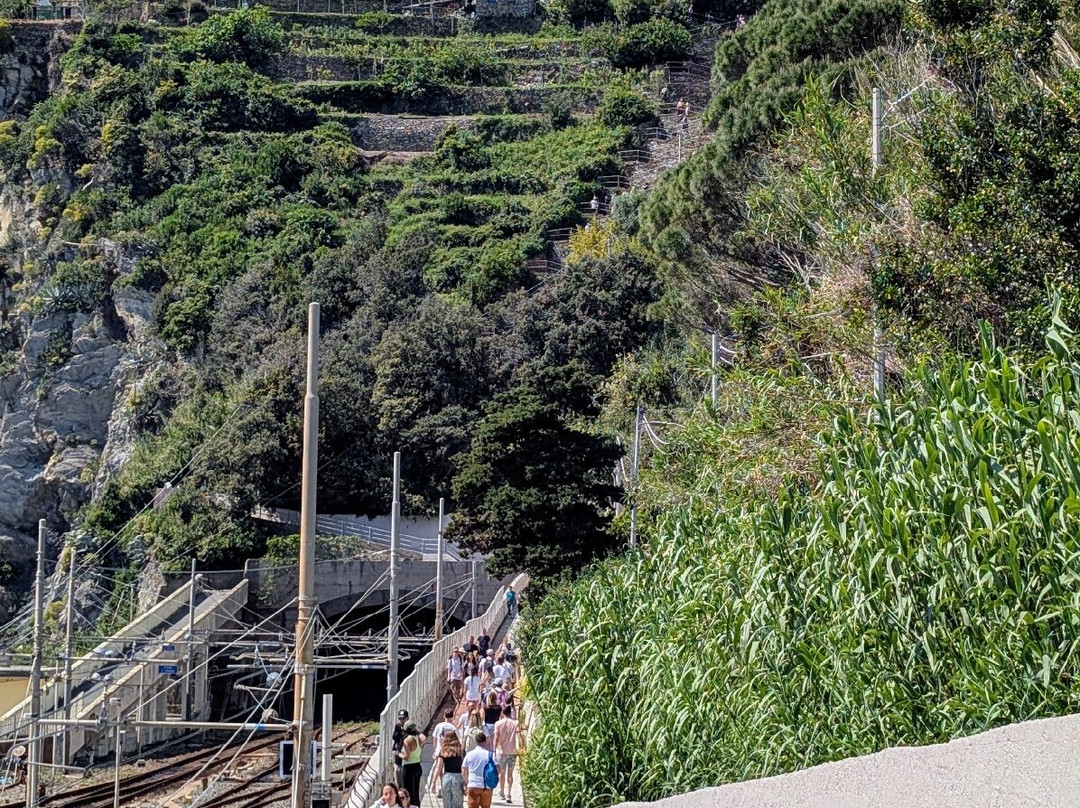 Borgo Storico di Corniglia-Corniglia必去景点