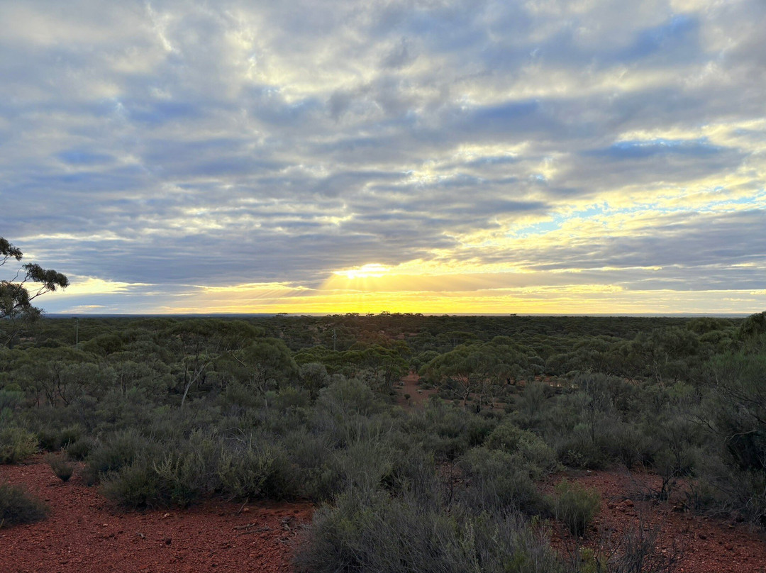 Karlkurla Bushland Park-卡尔古利必去景点