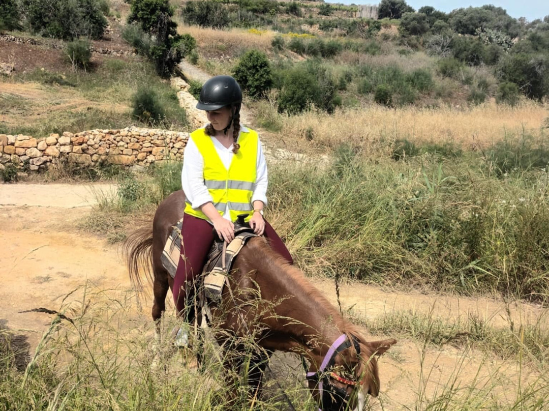 Lino's Stables-Xaghra必去景点