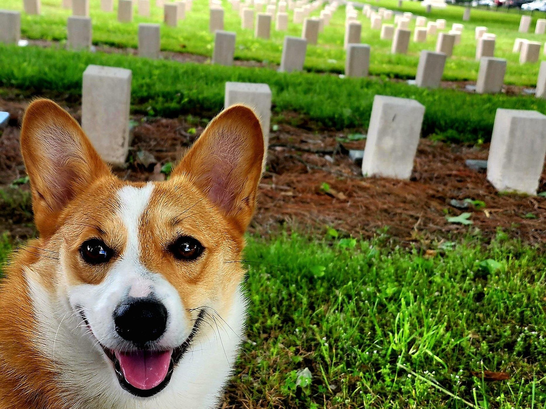 McGavock Confederate Cemetery-富兰克林必去景点