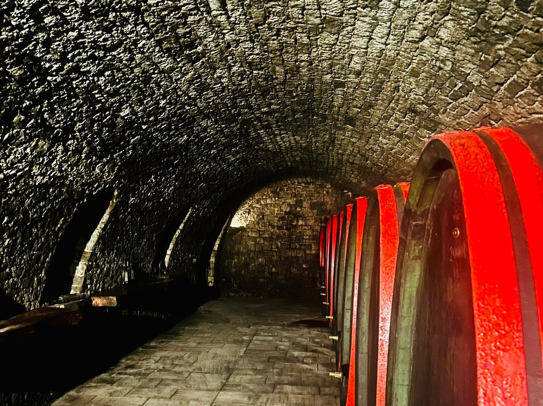 Boris Lisjak Winery-Dutovlje必去景点
