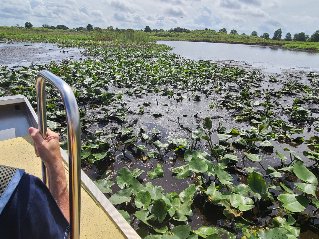 Alligator's Unlimited  Airboat Nature Tours-莱克威尔士必去景点