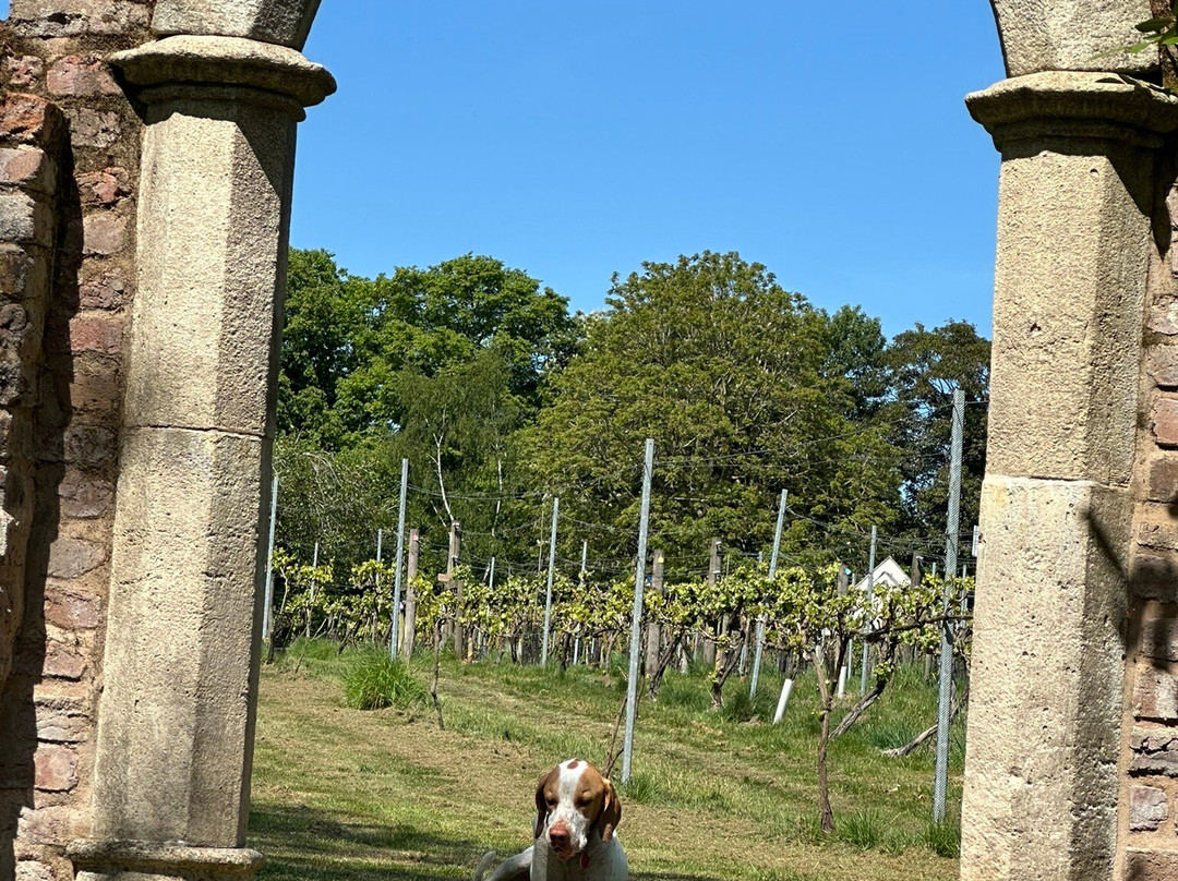 Rothley Wine Estate-Rothley必去景点