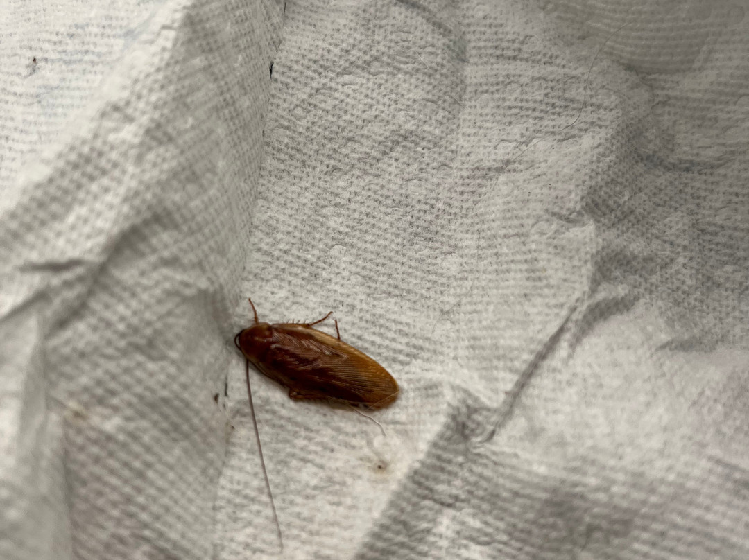 Home2 Suites by Hilton Woodbridge Potomac Mills主图