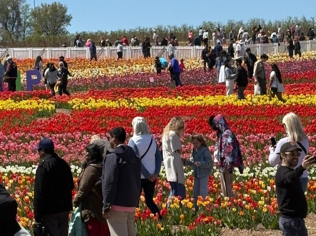Pingles Farm Market-Hampton必去景点