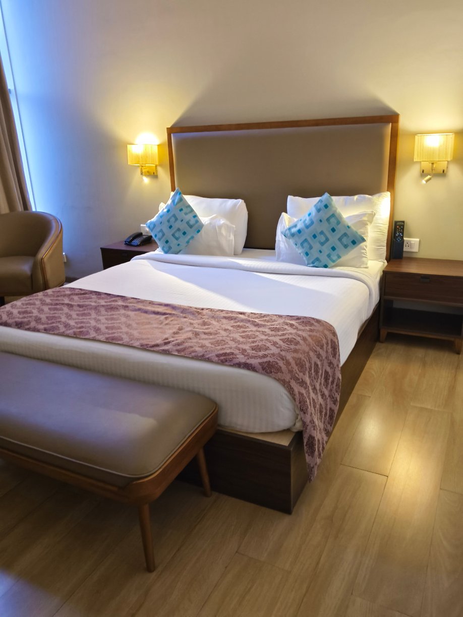 VIhang's Palm Club-客卧