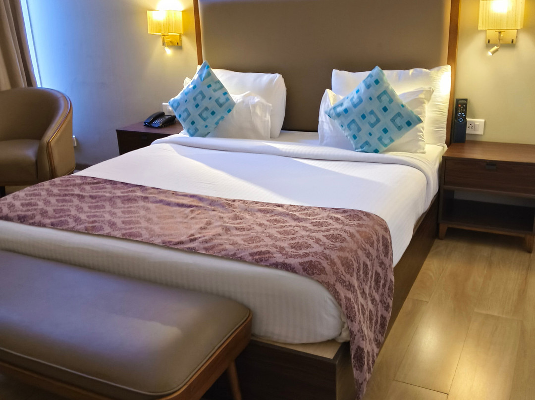 VIhang's Palm Club主图