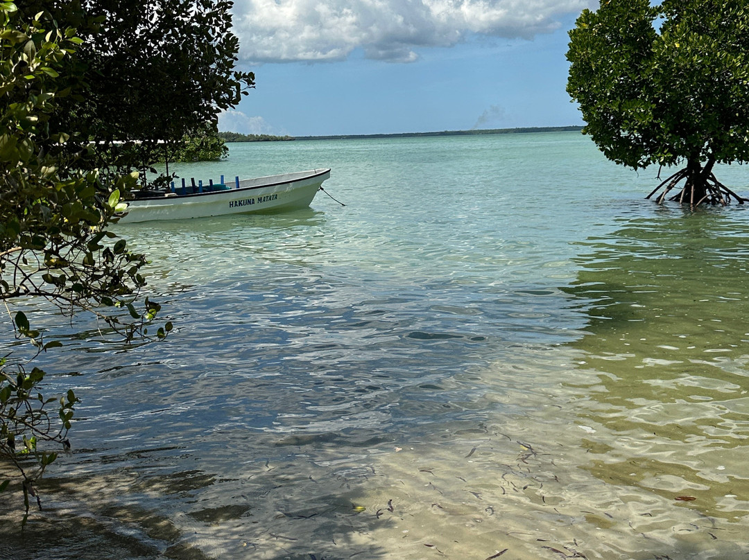 Travel Plus Zanzibar Tours & Safari-石头城必去景点