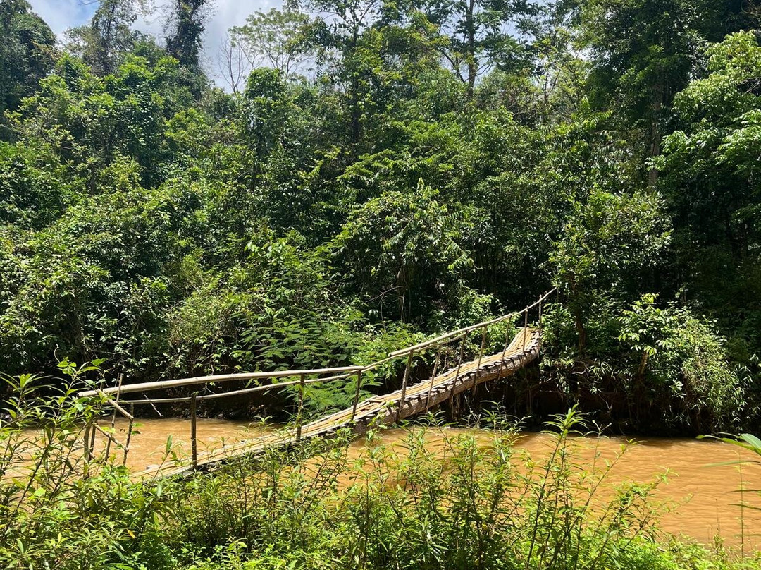 Elephant Community Project - Day Tours-森莫诺隆必去景点