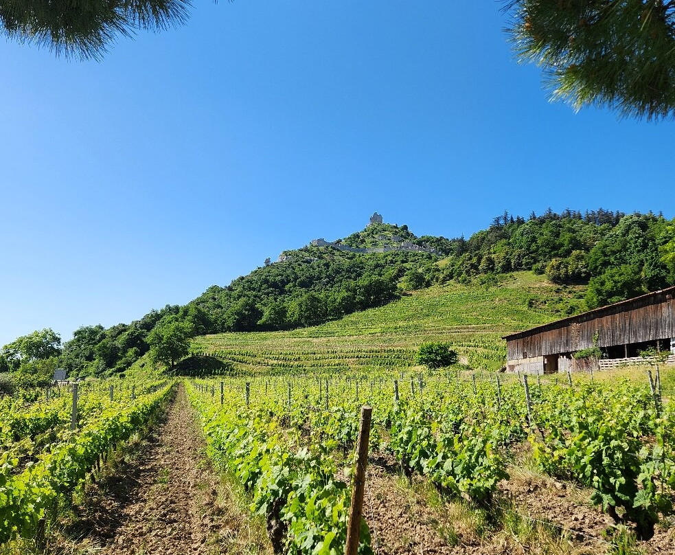 Domaine Rémy Nodin-Saint-Peray必去景点