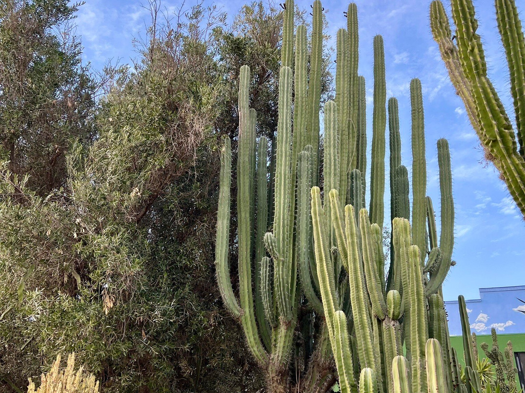 Vinedos La Redonda-Ezequiel Montes必去景点