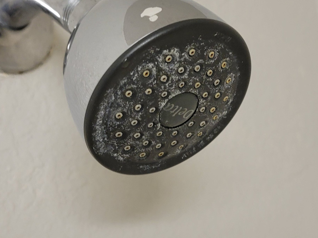 Microtel Inn & Suites by Wyndham Hoover / Birmingham主图