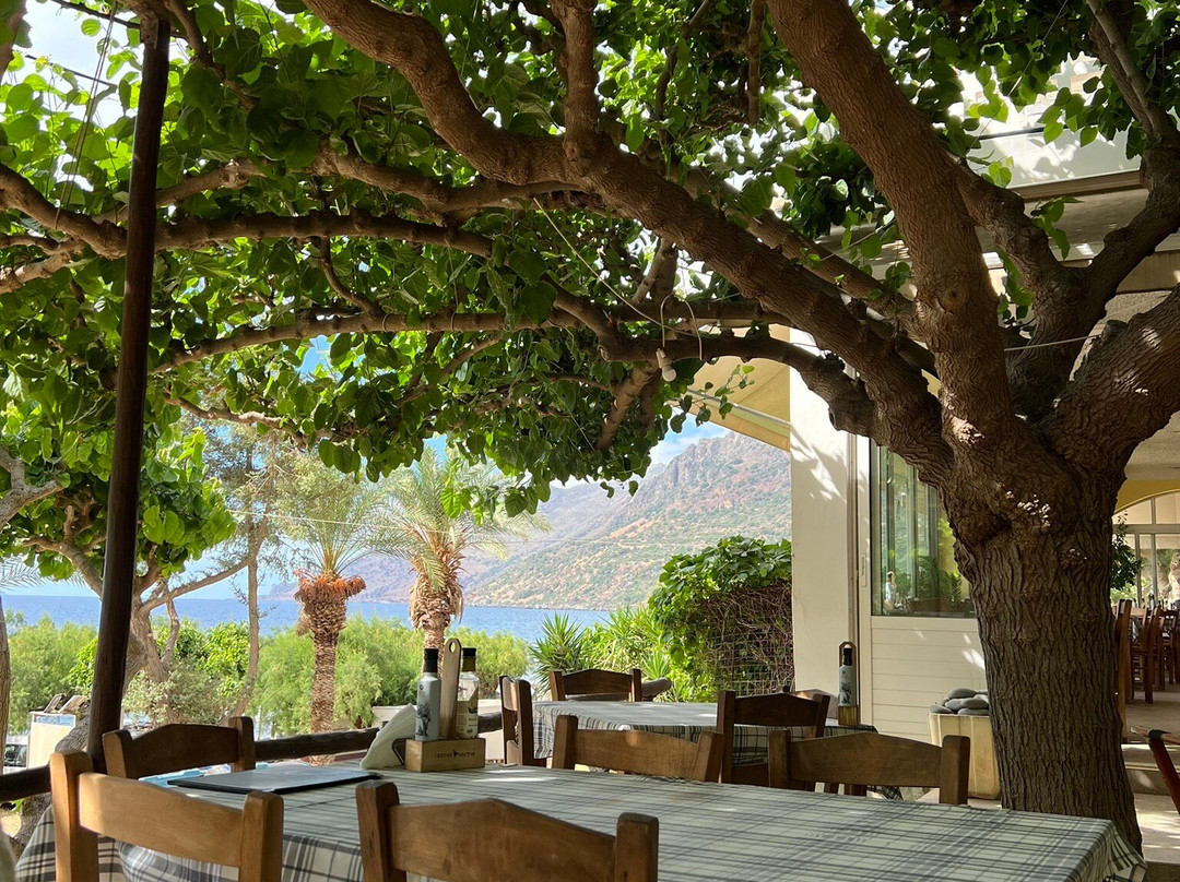 Waves on the Rock主图