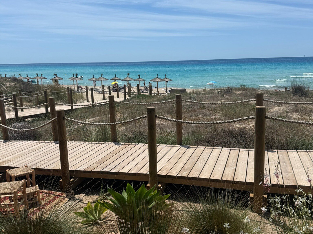 Platja Des Arenals景点图片