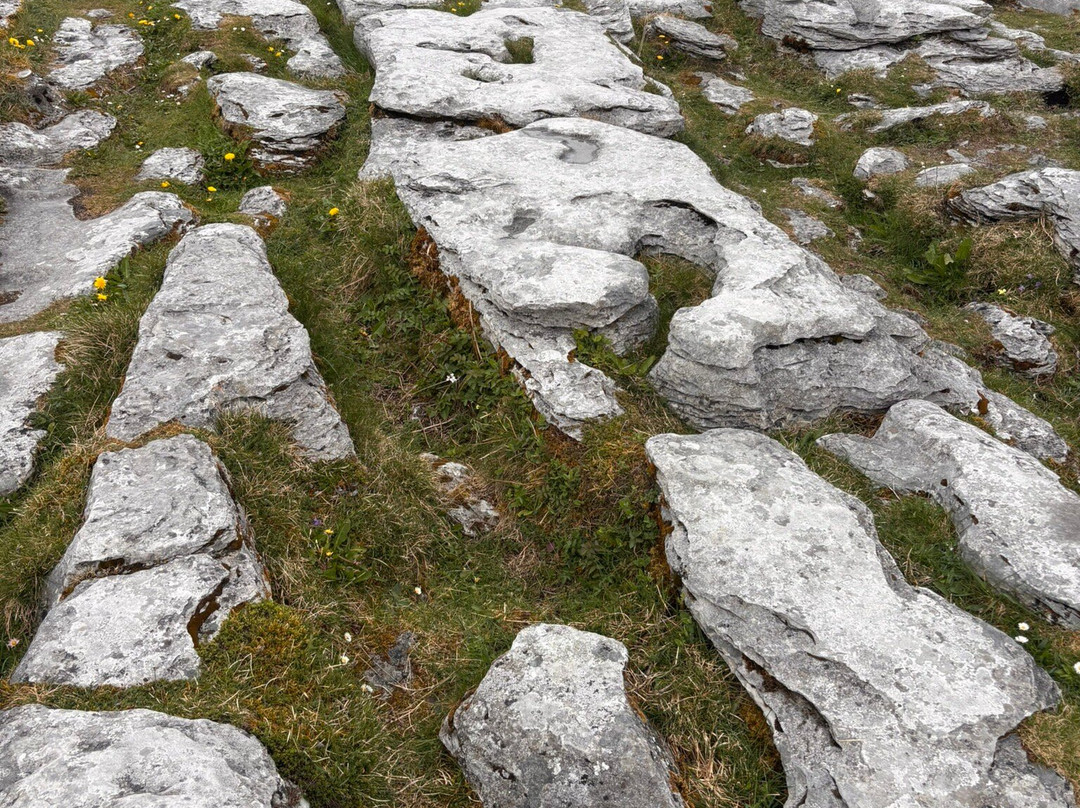 Poulnabrone Dolmen景点图片