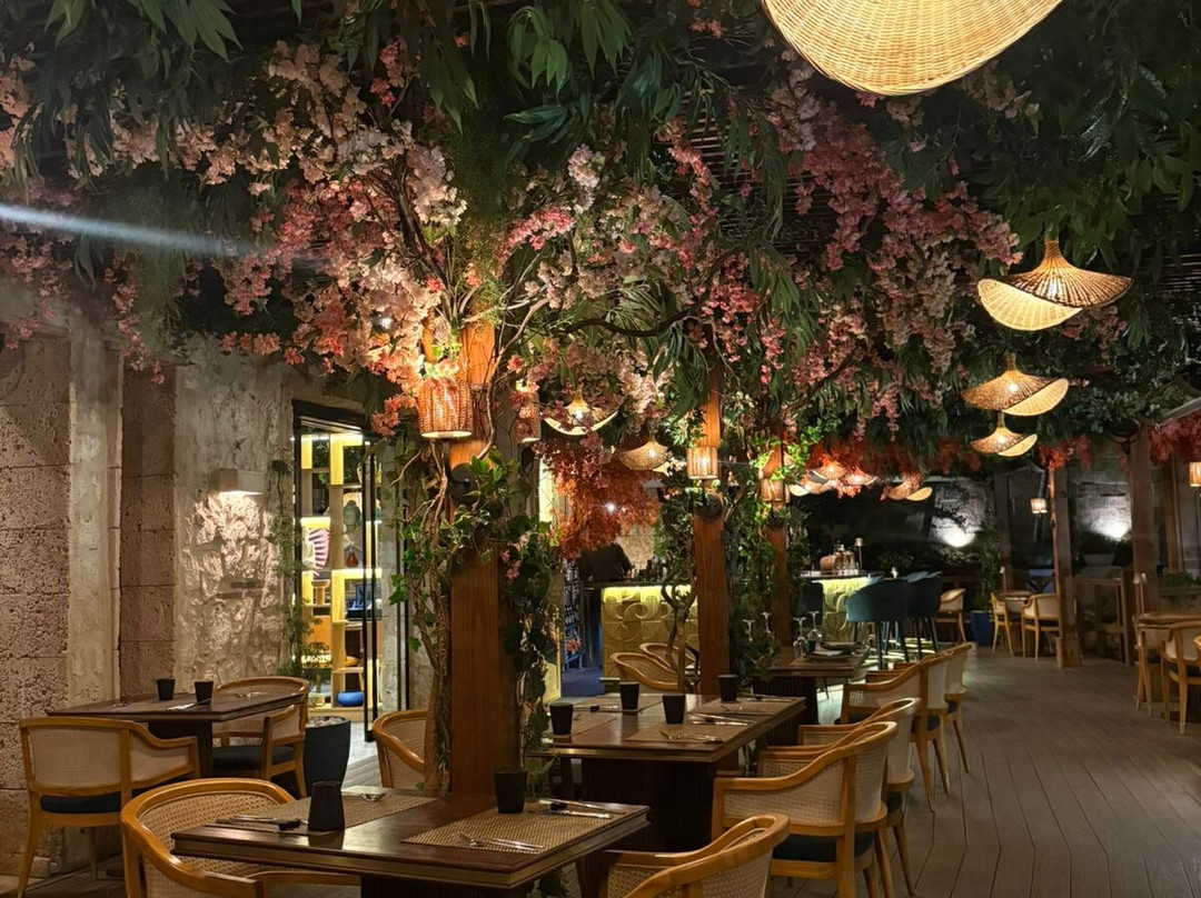 Wok, Pan-asian Experience