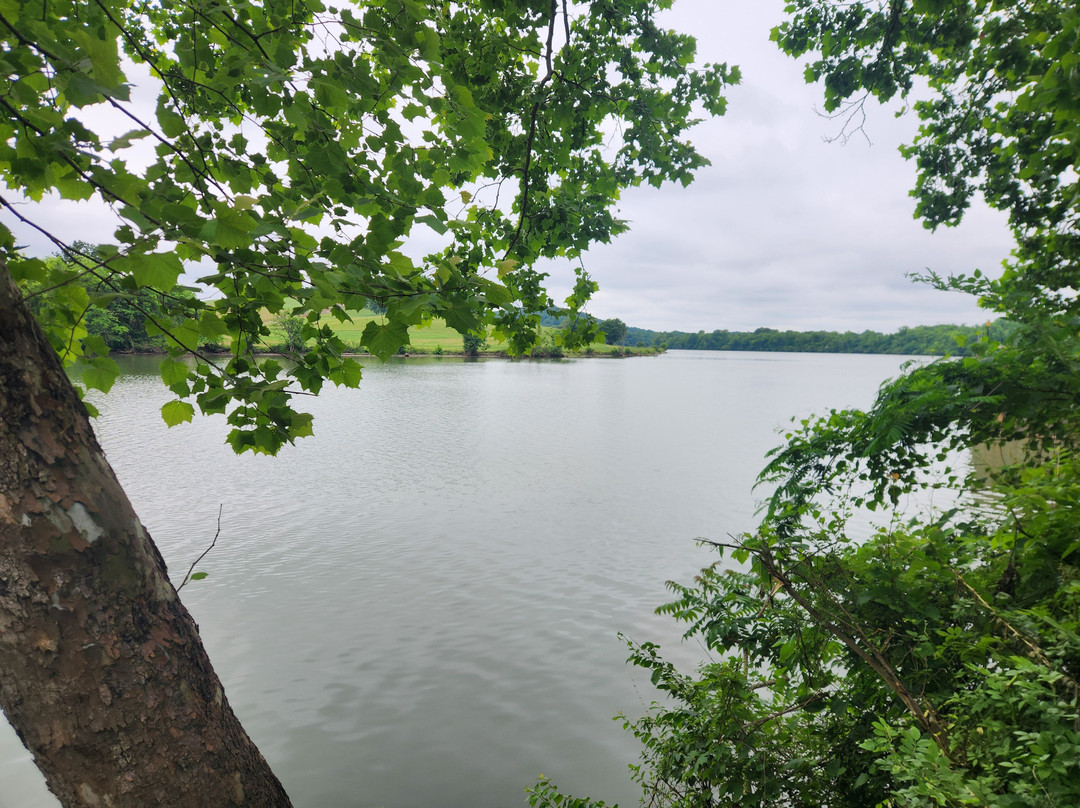 Ijams Nature Center-诺克斯维尔必去景点