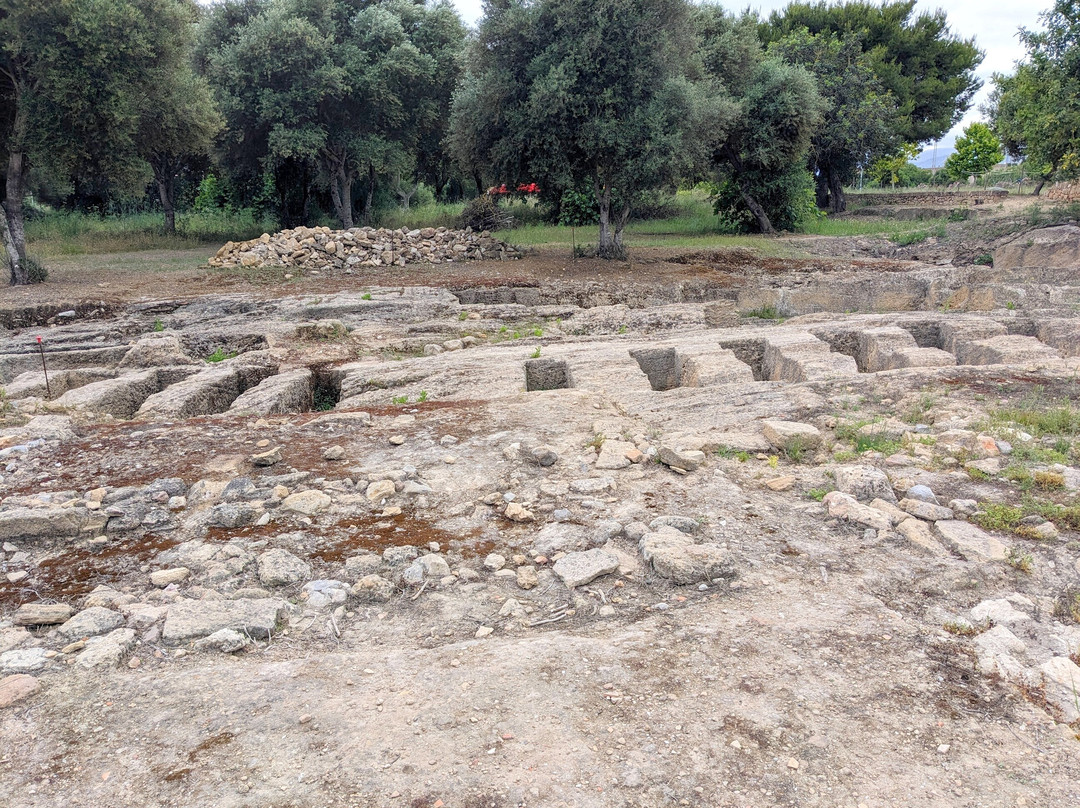 Ciutat Romana de Pollentia景点图片