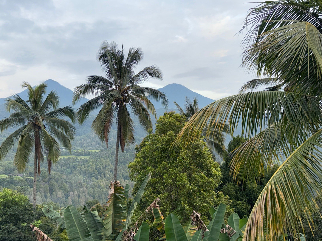 普瑞阳光大酒店主图