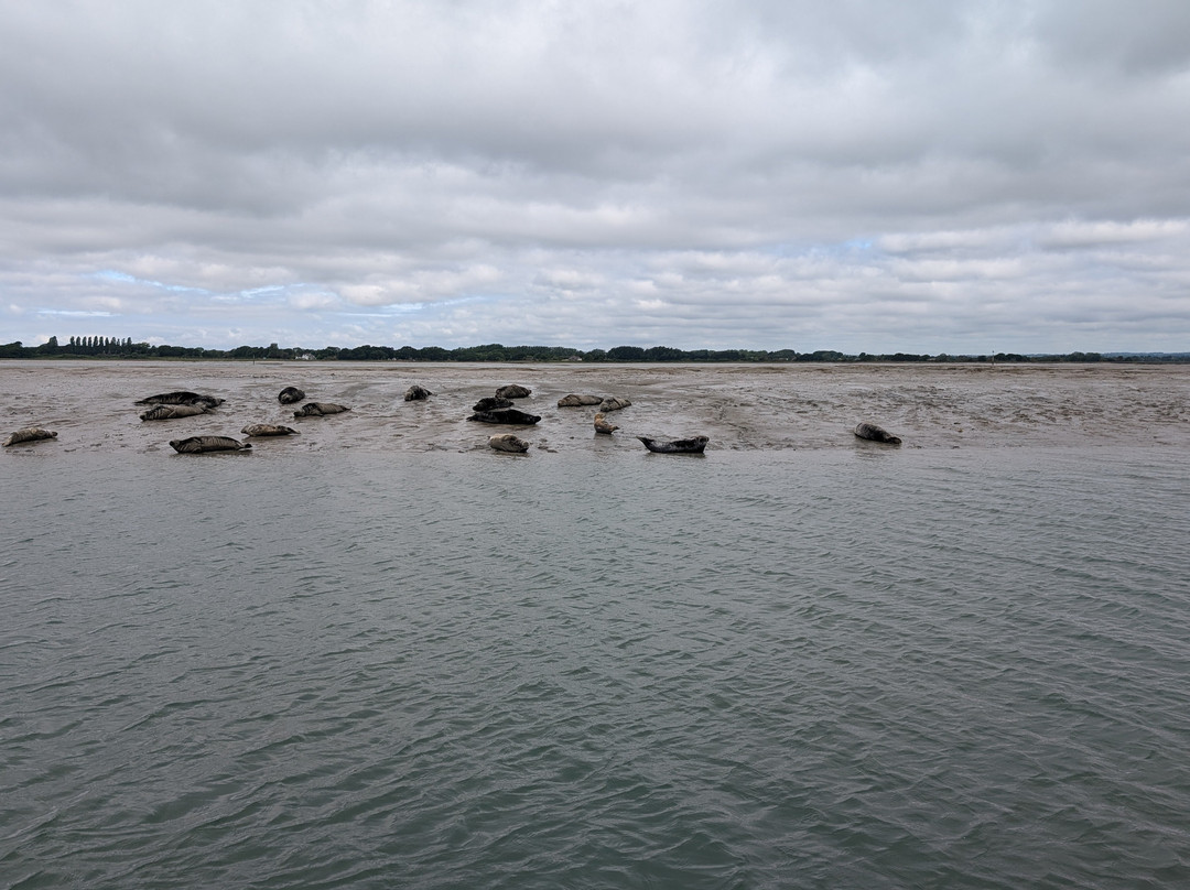 Chichester Harbour Water Tours景点图片