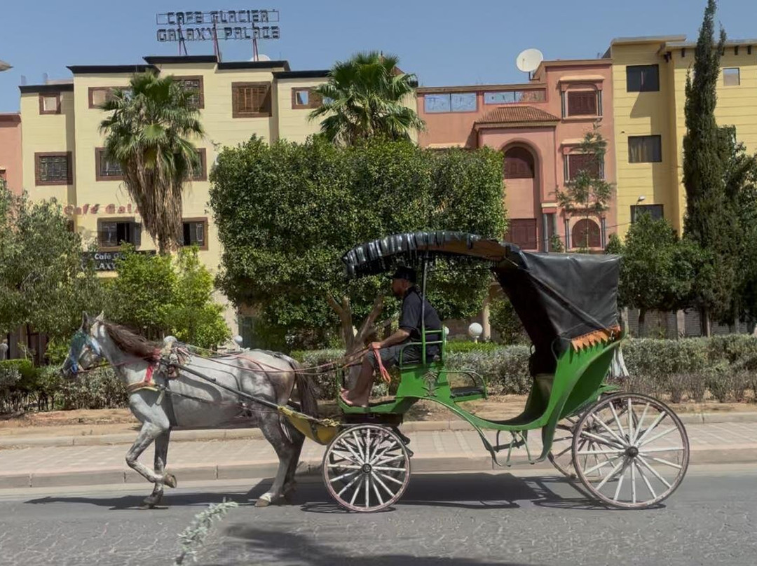 Fes Cooking & Cultural Tours-非斯必去景点