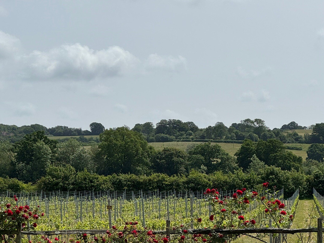 Oastbrook Estate Winery景点图片